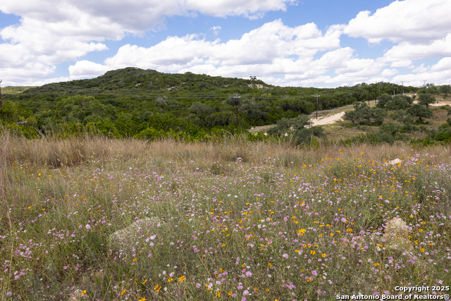 11313 Sloanes Ridge Property Photo 17