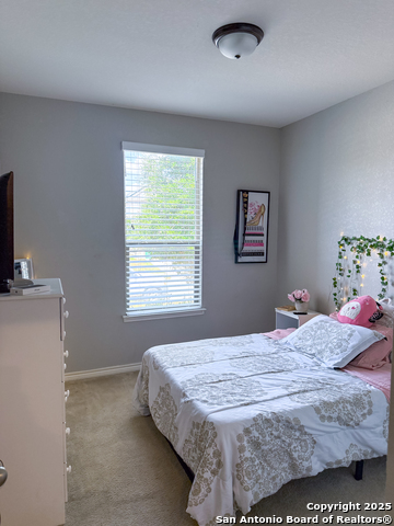 4526 Stetson Run Property Photo 11