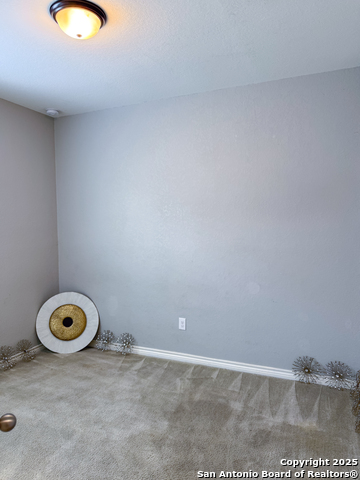 4526 Stetson Run Property Photo 14