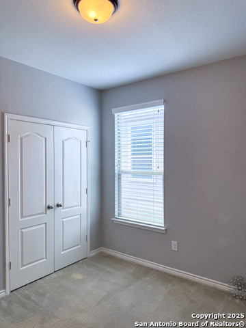 4526 Stetson Run Property Photo 15