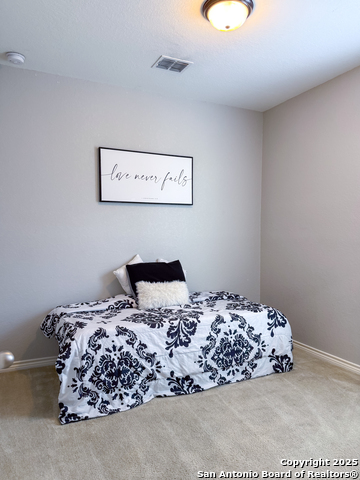 4526 Stetson Run Property Photo 16