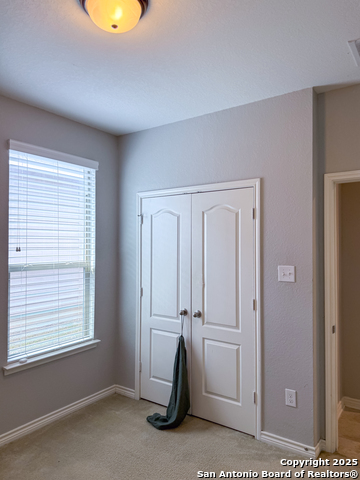 4526 Stetson Run Property Photo 17