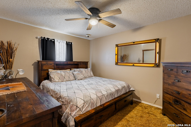 443 Adolphus Street Property Photo 24