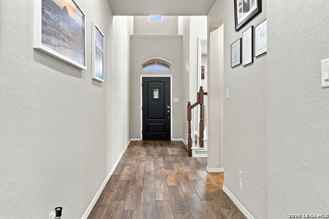 2202 Elysian Trl Property Photo 13