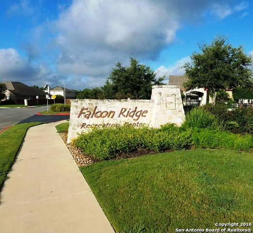 237 Crimson Tree Property Photo 11