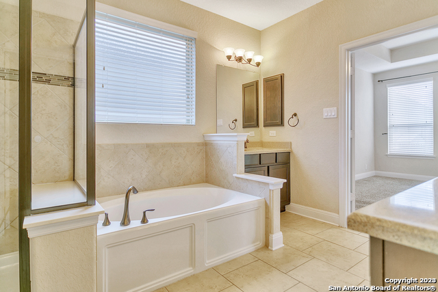 22131 Gypsy Hawk Property Photo 26