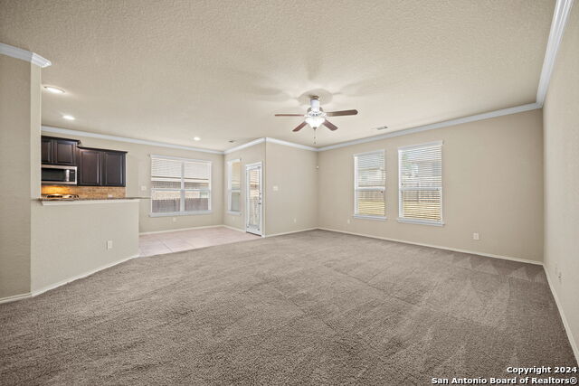 536 Wagon Wheel Way Property Photo 5