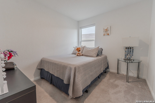 5043 Botanic Trl Property Photo 8