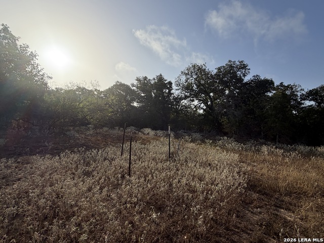 3841 County Road 427 Property Photo 5