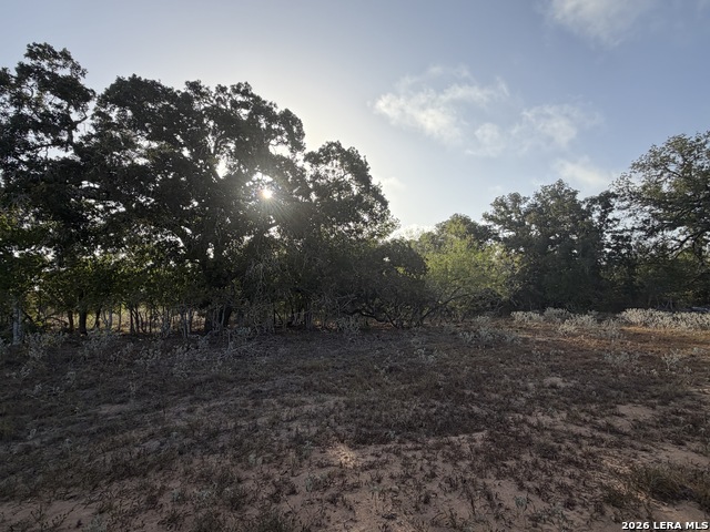 3841 County Road 427 Property Photo 8
