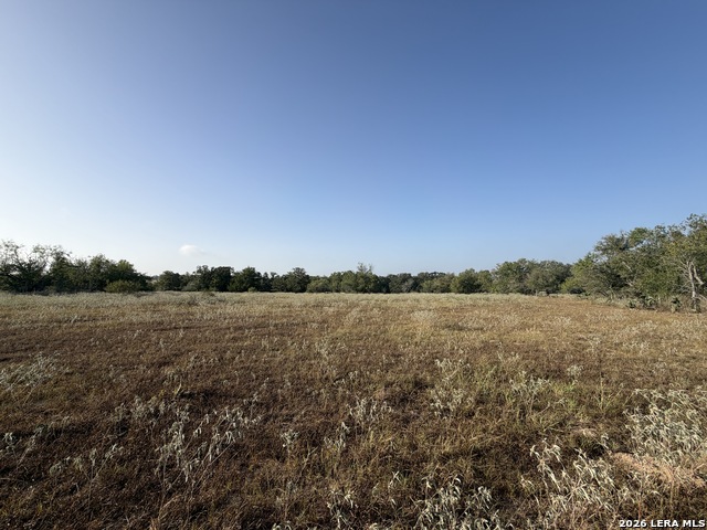 3841 County Road 427 Property Photo 11