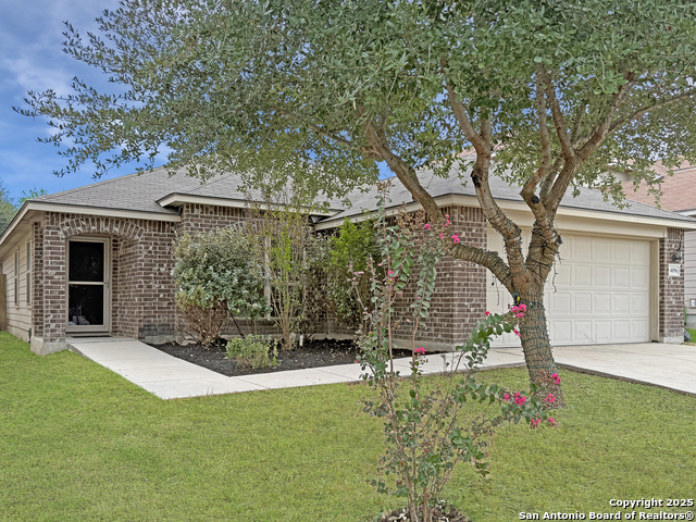 4096 Cherry Tree Property Photo 1