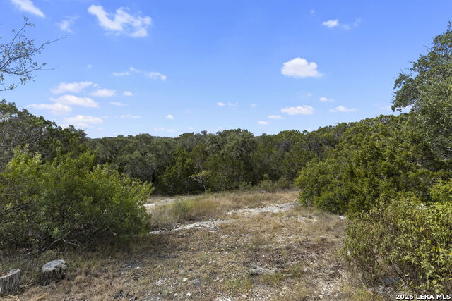 2502 Park Road 37 Property Photo 47