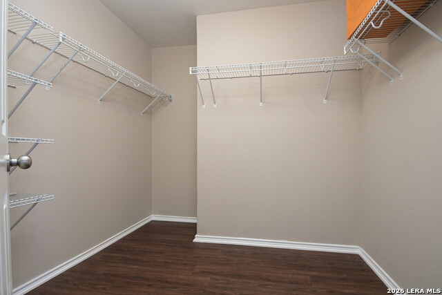 11427 Unbridled Property Photo 12