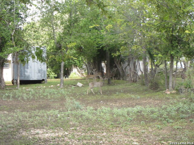 911 Cypress Property Photo 4