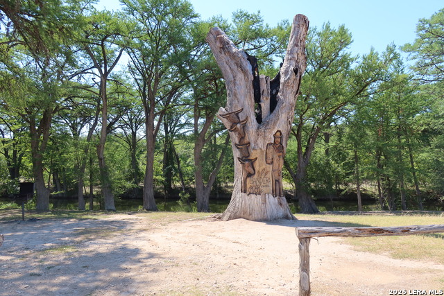 911 Cypress Property Photo 35