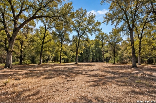 123 Oak Forest Ct Property Photo 4