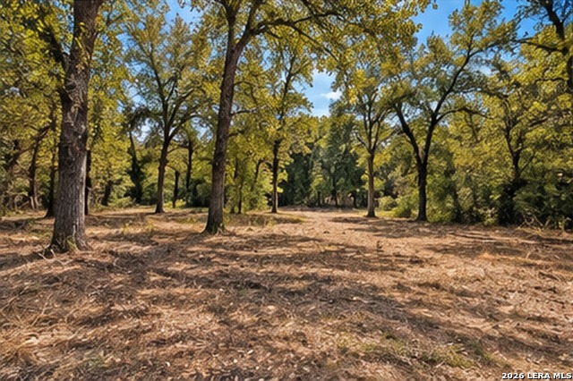 123 Oak Forest Ct Property Photo 6