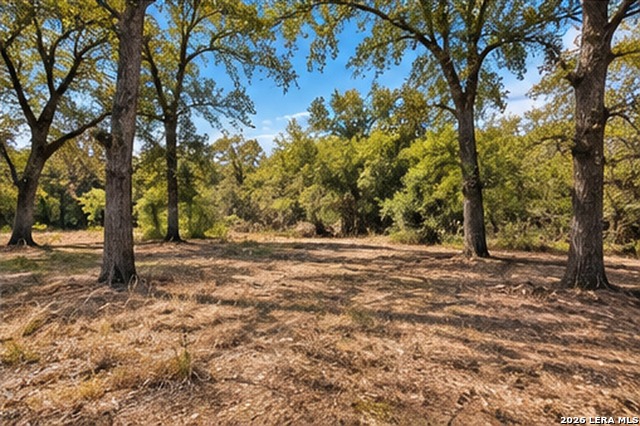 123 Oak Forest Ct Property Photo 10