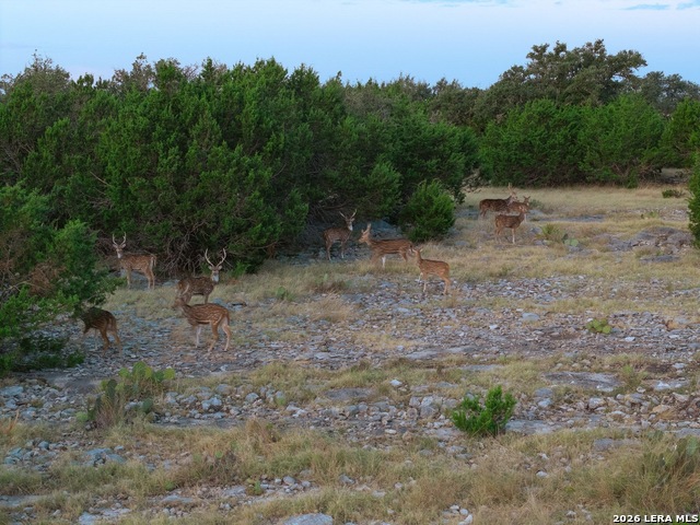 Tbd Highway 41 Property Photo 4