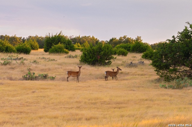 Tbd Highway 41 Property Photo 7