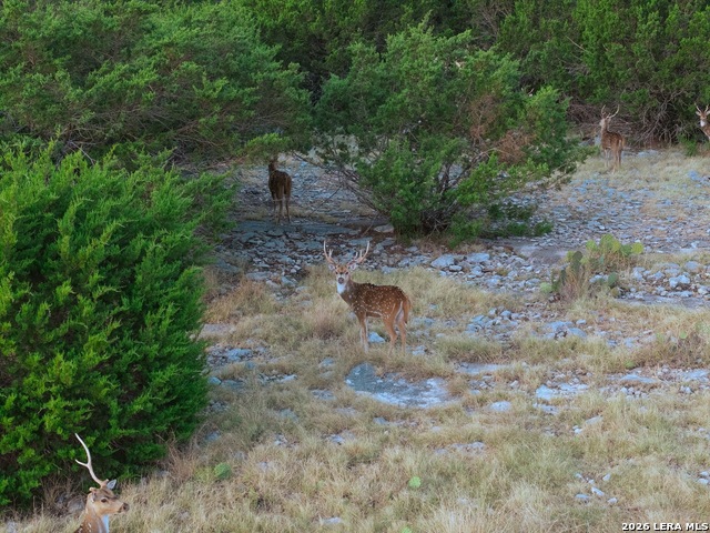 Tbd Highway 41 Property Photo 9