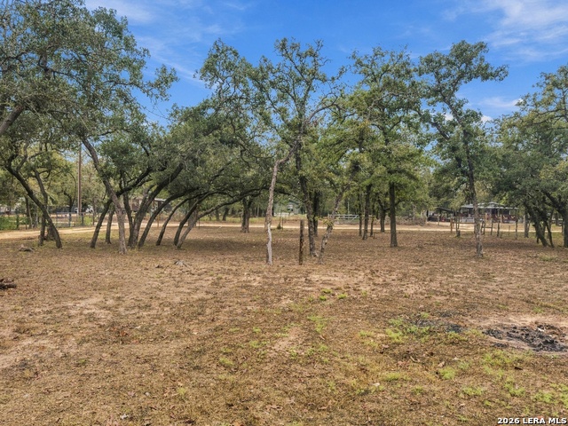 115 Dinks Property Photo 23
