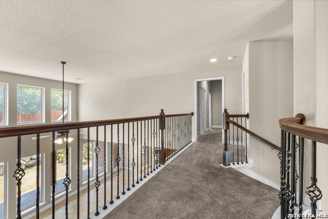 13418 Palatine Hl Property Photo 41