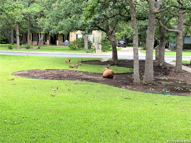 305 Kendall Pkwy Property Photo 35