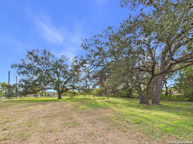 112 Live Oak Property Photo 36