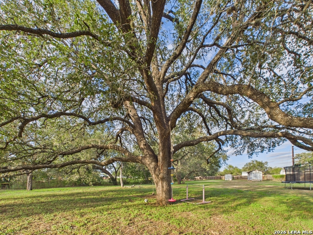 112 Live Oak Property Photo 38