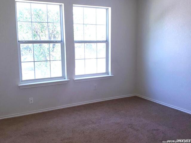 6347 Wild Flower Way Property Photo 12