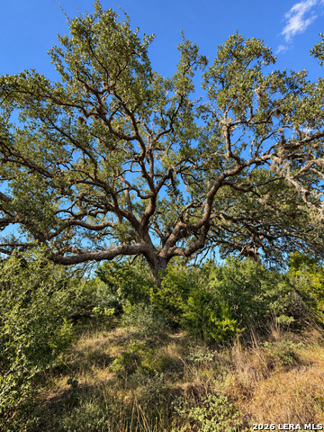Lot 32 Lariat Trace Property Photo 5