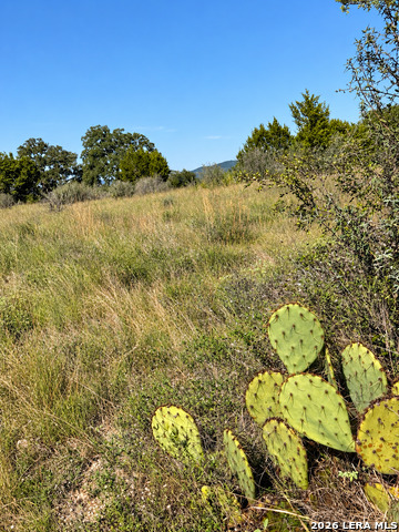 Lot 32 Lariat Trace Property Photo 9