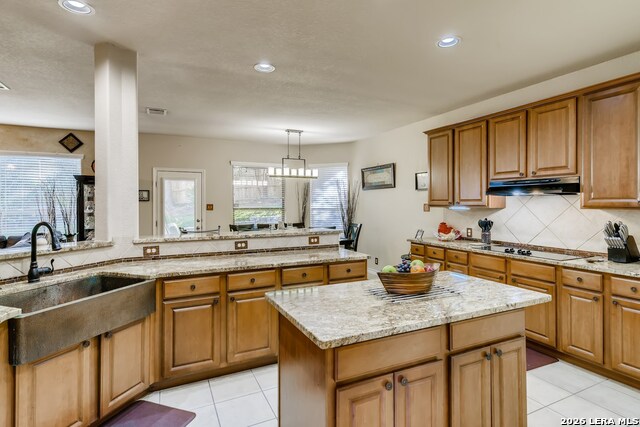 1414 Muleshoe Pass Property Photo 10