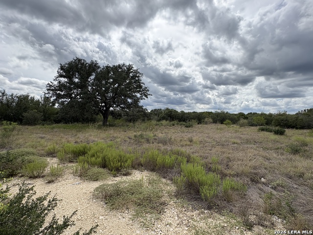 261 Grand Rnch Property Photo 4