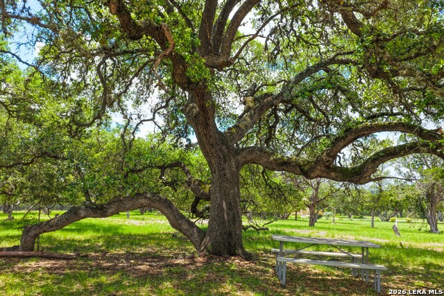 217 Wild Horse Property Photo 17