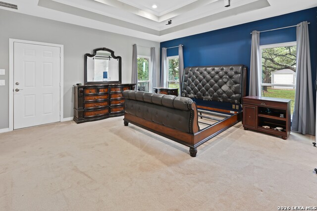 217 Wild Horse Property Photo 42
