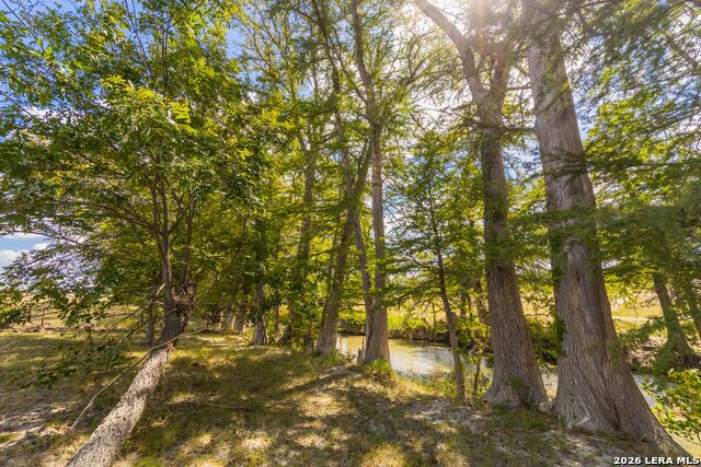 3862 State Highway 16 N Property Photo 33