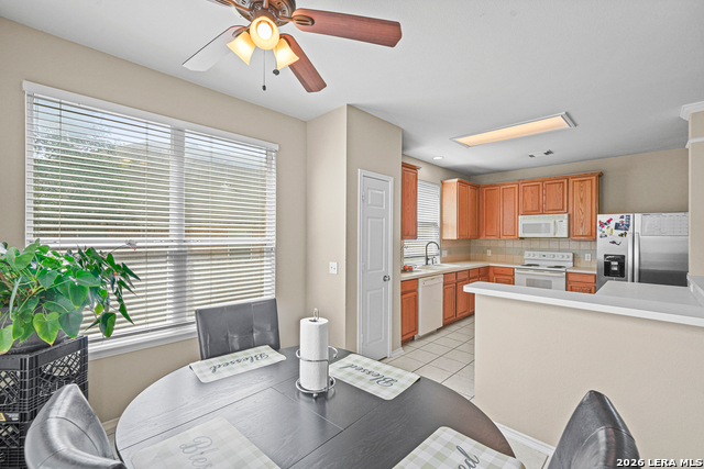 20906 Encino Dawn Property Photo 17