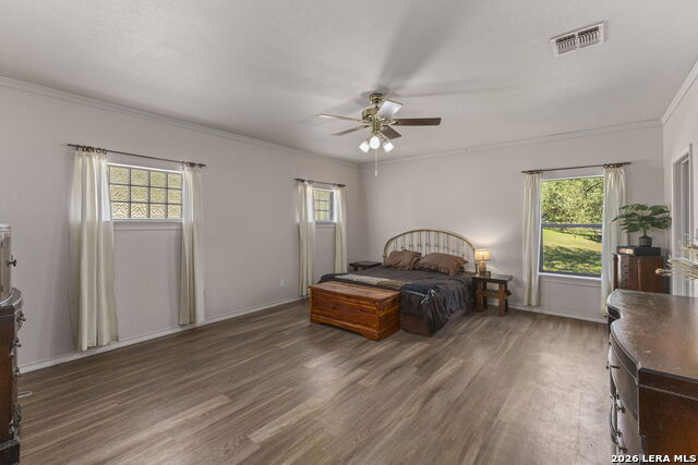 31051 Elise Ann Property Photo 19