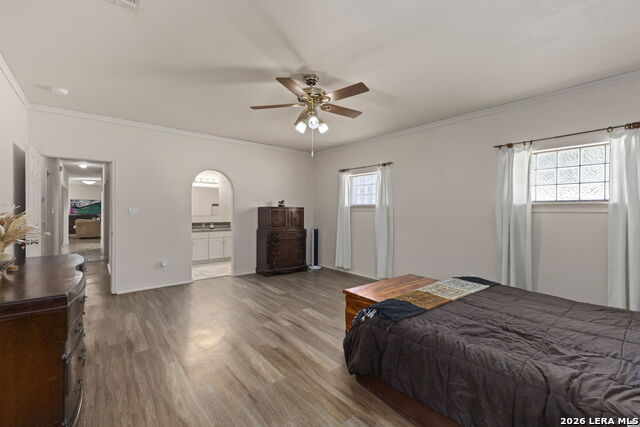 31051 Elise Ann Property Photo 20