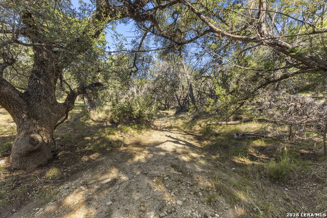 31051 Elise Ann Property Photo 45