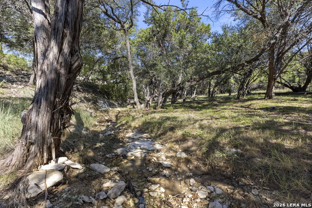 31051 Elise Ann Property Photo 46
