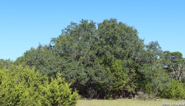 Tbd 50 Acres Wharton Dock Rd Property Photo 1