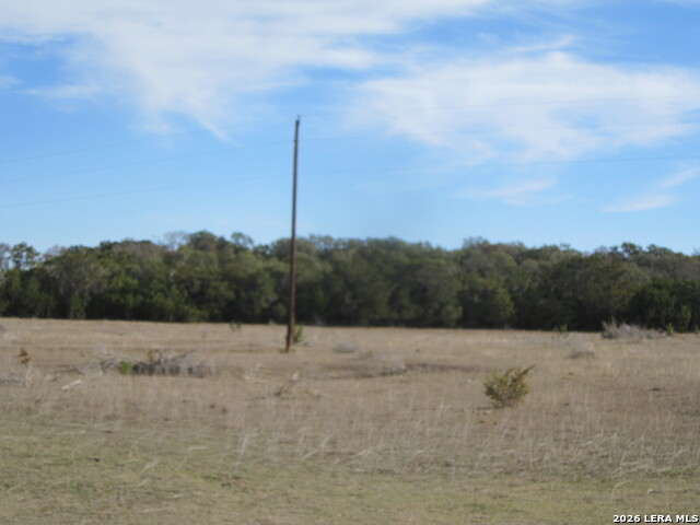 Tbd 50 Acres Wharton Dock Rd Property Photo 5