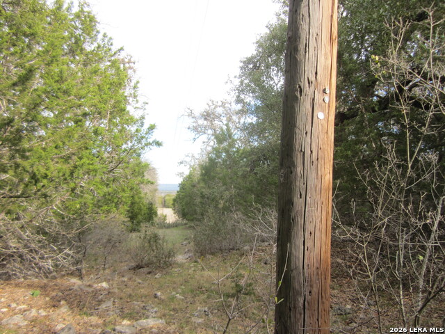 Tbd 50 Acres Wharton Dock Rd Property Photo 6
