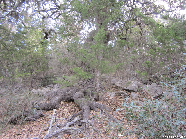 Tbd 50 Acres Wharton Dock Rd Property Photo 7