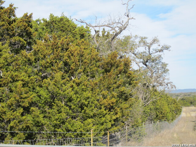 Tbd 50 Acres Wharton Dock Rd Property Photo 8