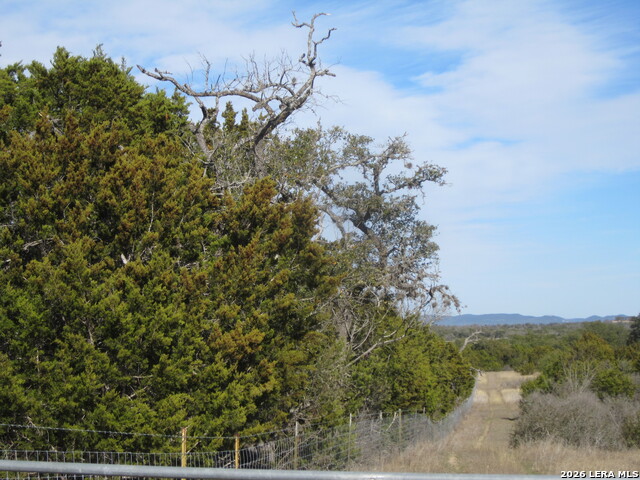 Tbd 50 Acres Wharton Dock Rd Property Photo 9